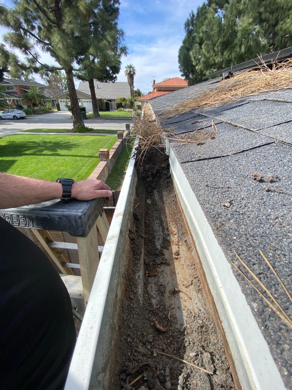 Gutter cleaning